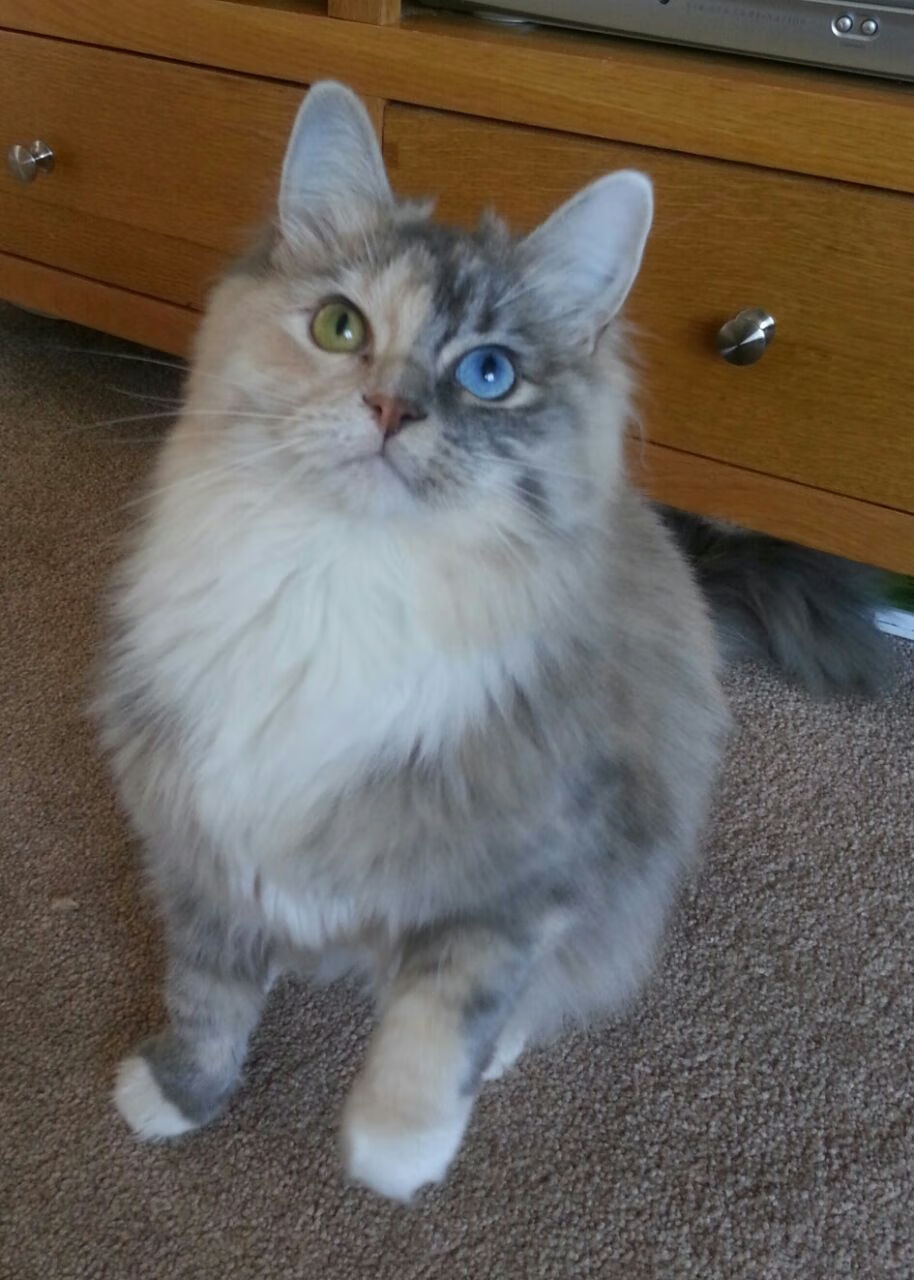 FB体育官方平台-穿越火线 联赛积分榜形势胶着，穿越火线积分排名