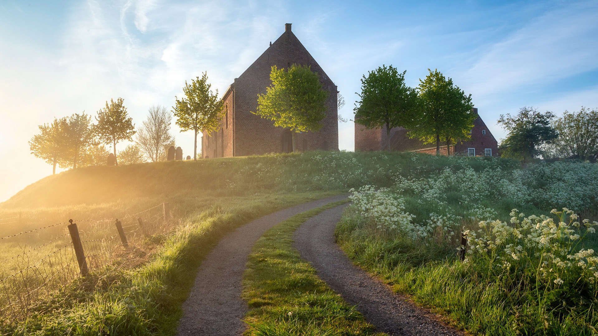 FB体育在线-山东高速主力阵容协同作战，山东高速 知乎