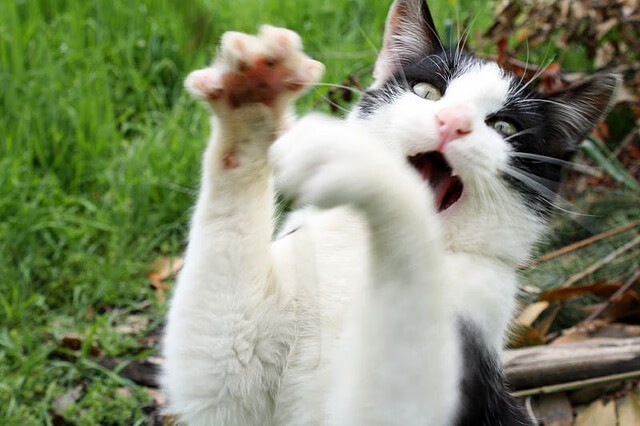 fb体育官网首页-山东高速关键比赛表现突出，山东高速业绩