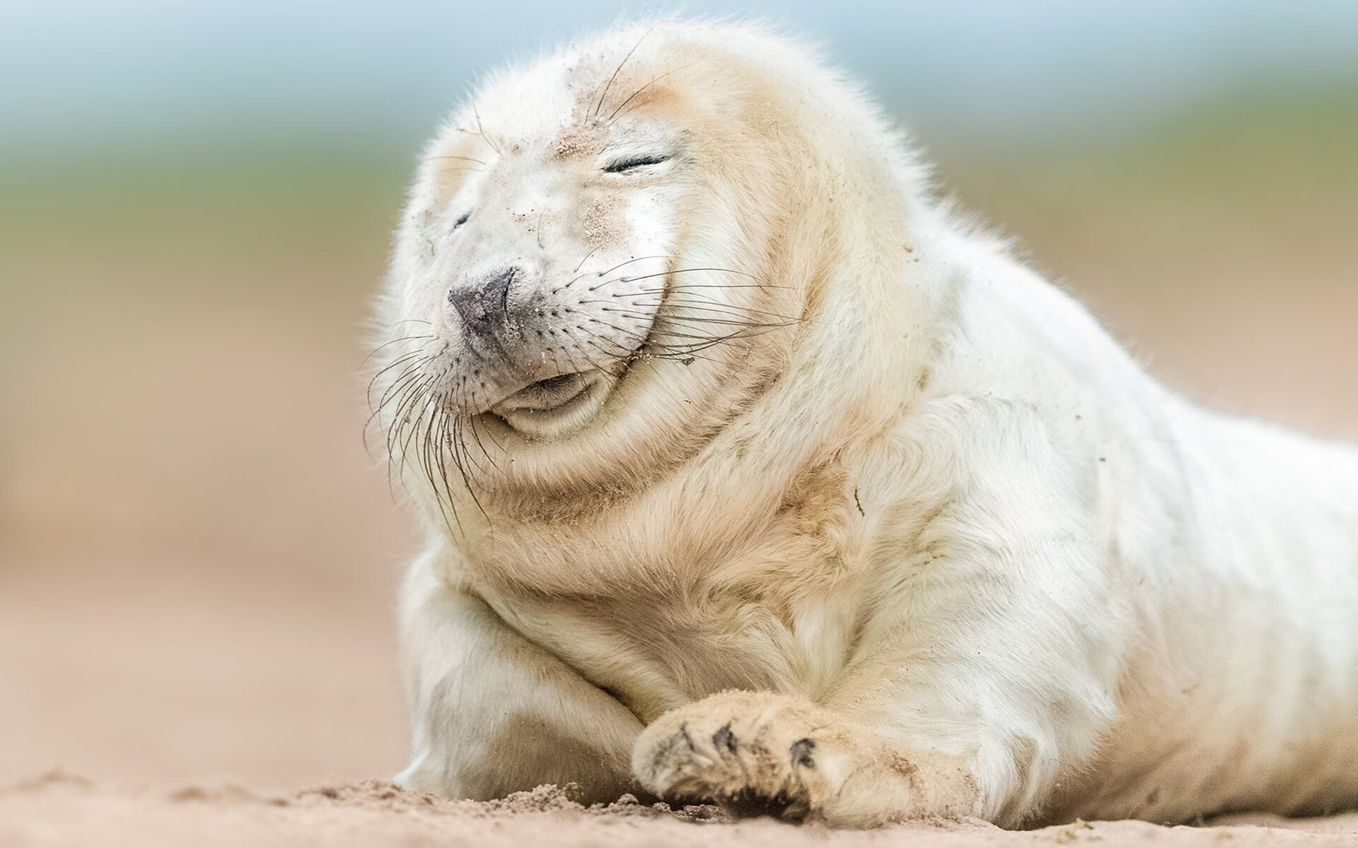 FB体育下载-法甲球队备战全力，冠军希望渺茫，法甲名单