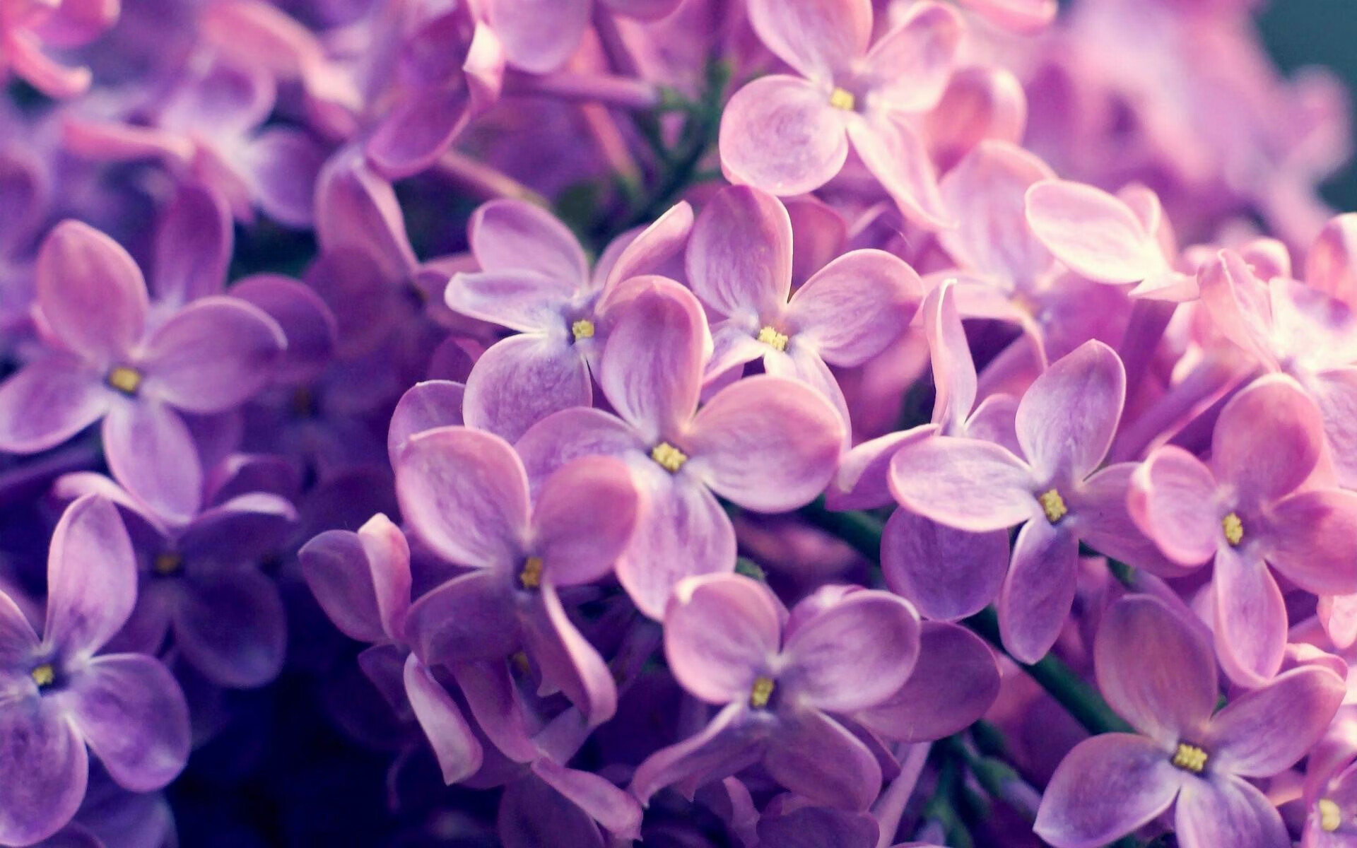 FB体育下载-西班牙开启奥运征程，首战3-1大胜韩国，西班牙奥运比分