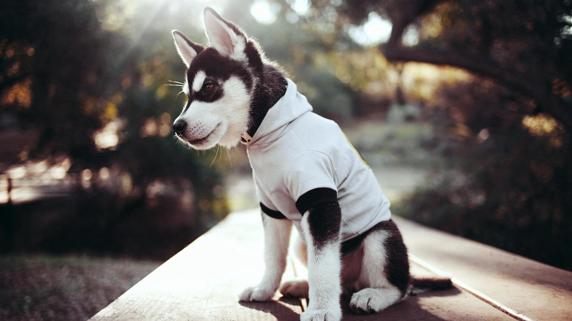 fb体育投注-“亲子欢乐跑，香港牛仔3K亲子跑迎接家庭挑战”