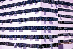 fb体育网站-体育新闻中心建设体育数字内容版权保护体系，体育数据新闻