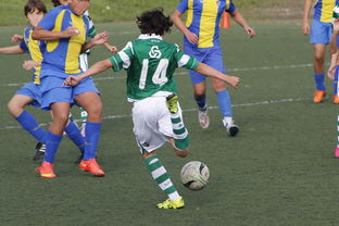 fb体育投注-体育纪录片内容更加丰富，体育纪录片主题