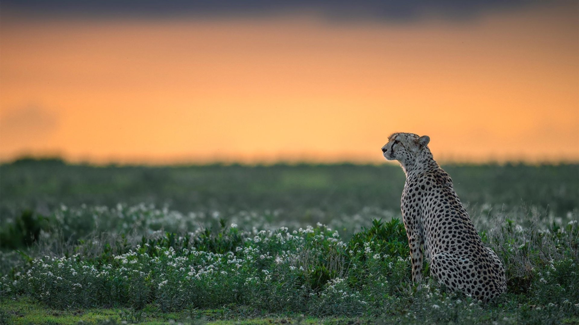fb体育赛事平台-澳男选手破全国纪录，男子澳网排名