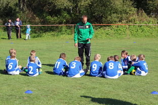 fb体育赛事平台-球队教练组是否借助VAR数据辅助赛后战术修复，球员 教练