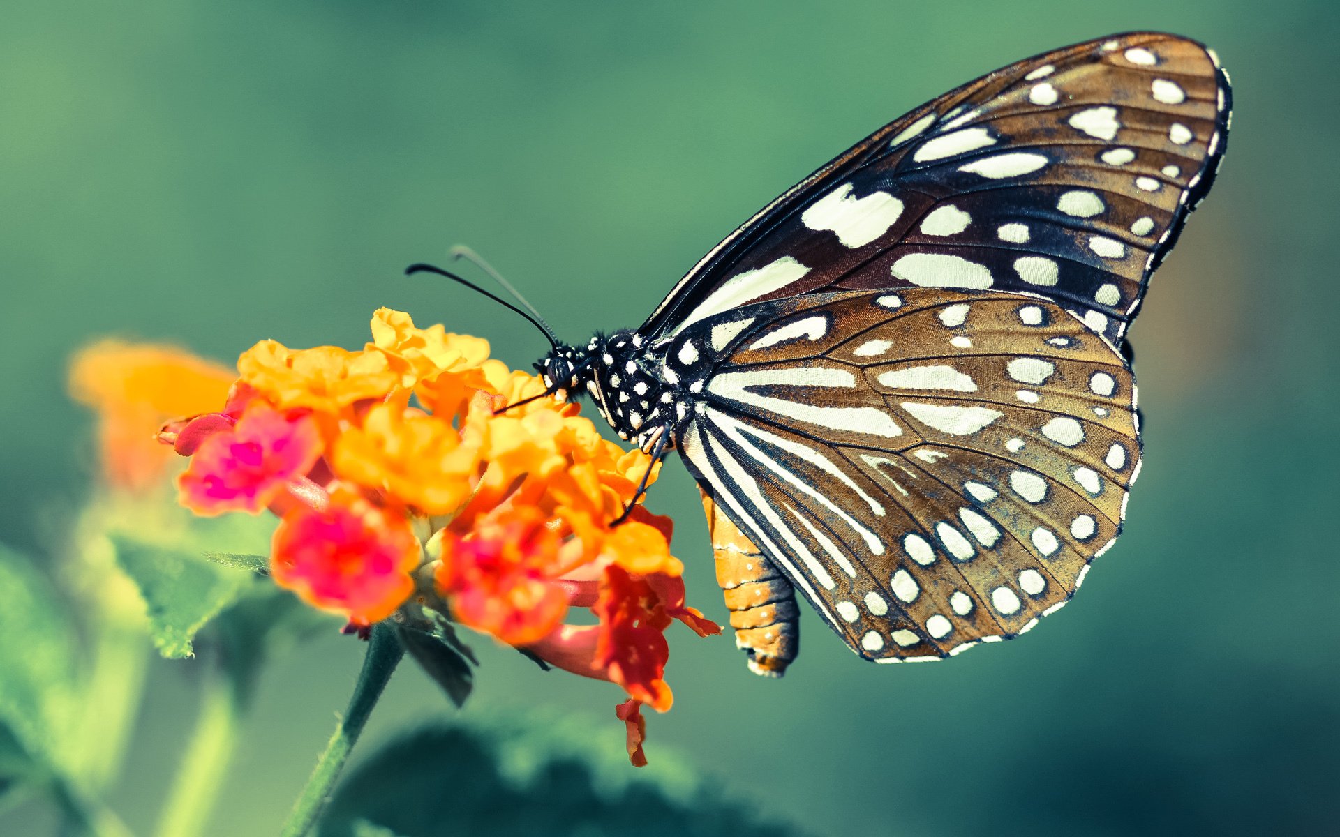 fb体育注册网址-阵型轮换创造出奇制胜机会，阵型变换